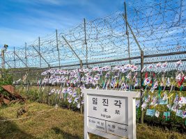 The Making of Post-Socialist Citizens in South Korea?: The Case of Border Crossers from North Korea