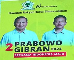 Cross-Party Presidential Dynasticism in Indonesia: Evidence from the 2024 Presidential Elections